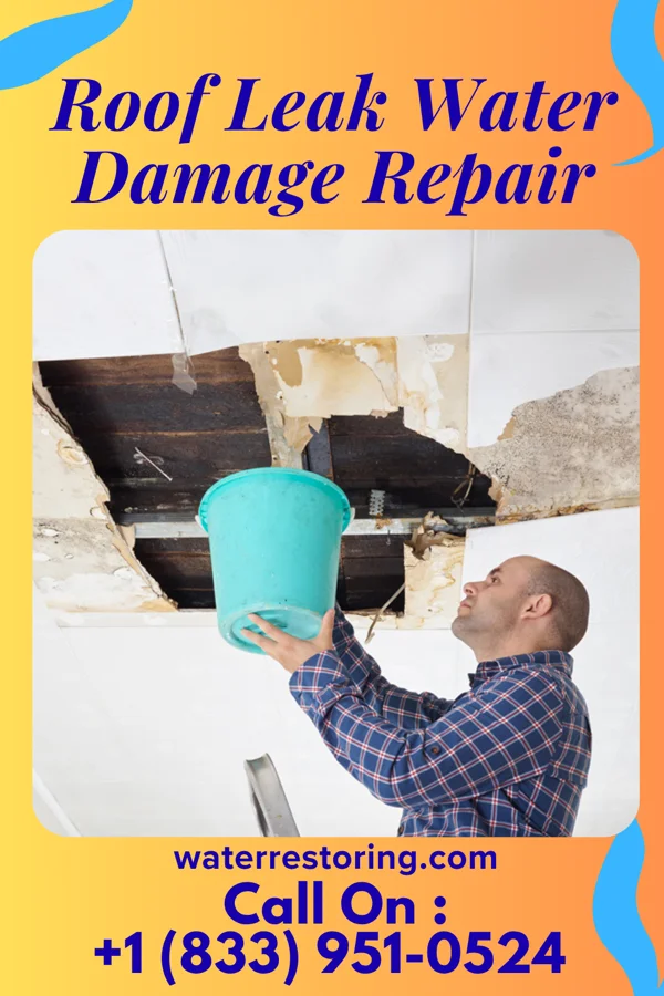 Roof Leak Water Damage Repair in Norco, CA